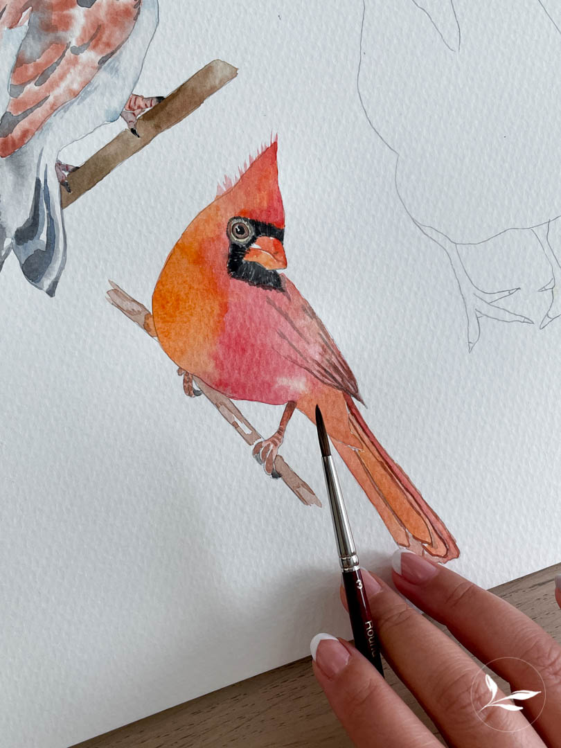Watercolor Cardinal 