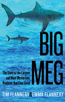 Image for "Big Meg"