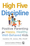 Image for "High Five Discipline"